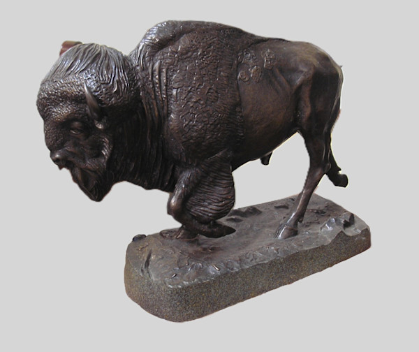 Senior Bull by Don Crouch, Image 2.