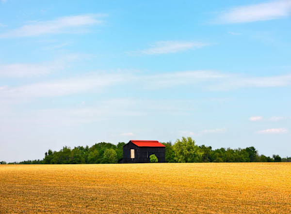 Kentucky Barn by Joseph Romeo
