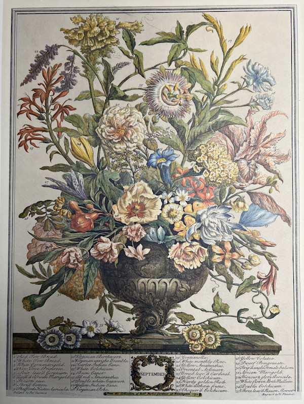 September, Image 2.