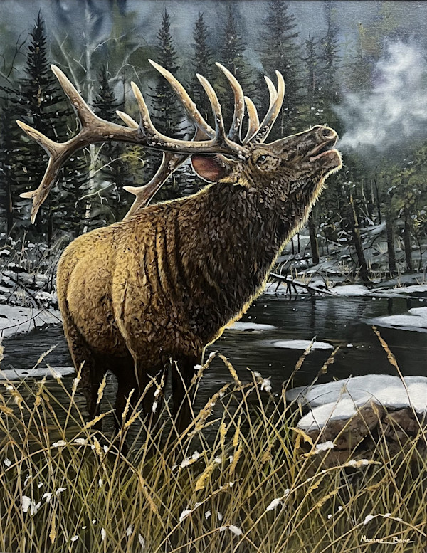 Call of The Wild by Maxine Bone, Image 1.