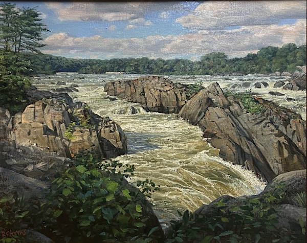 Over the Falls by Bradley Stevens