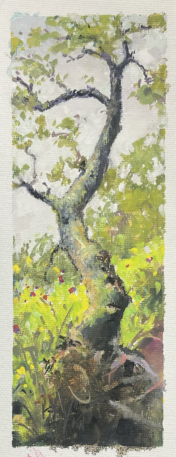 Birch, Nova Scotia by Tricia Ratliff, Image 1.