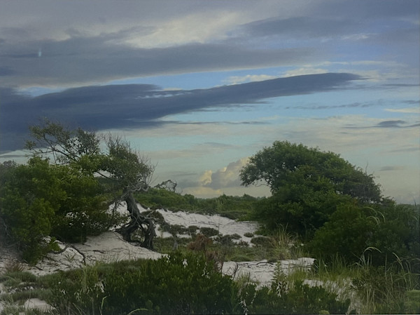 Assateague Dunes1/100 III by Frederick Eberhart, Image 2.