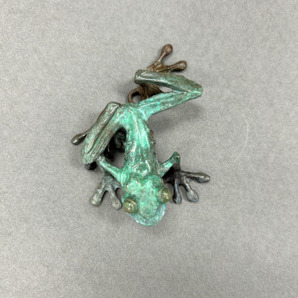 Frog A by Dan Chen, Image 1.