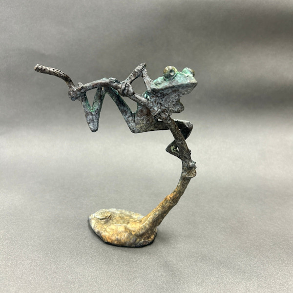 Tree Frog A by Dan Chen, Image 1.