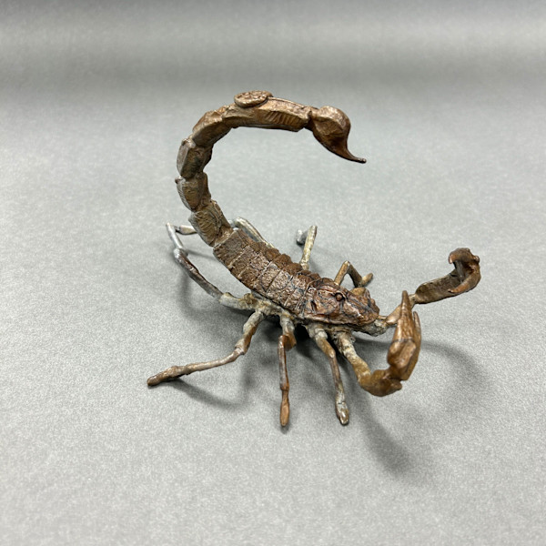 Scorpion by Dan Chen, Image 2.
