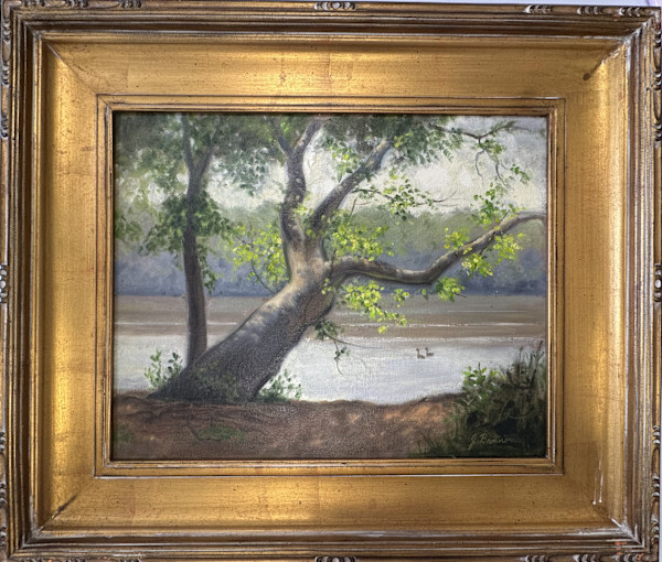 Leaning Sycamore by John Bannon, Image 1.