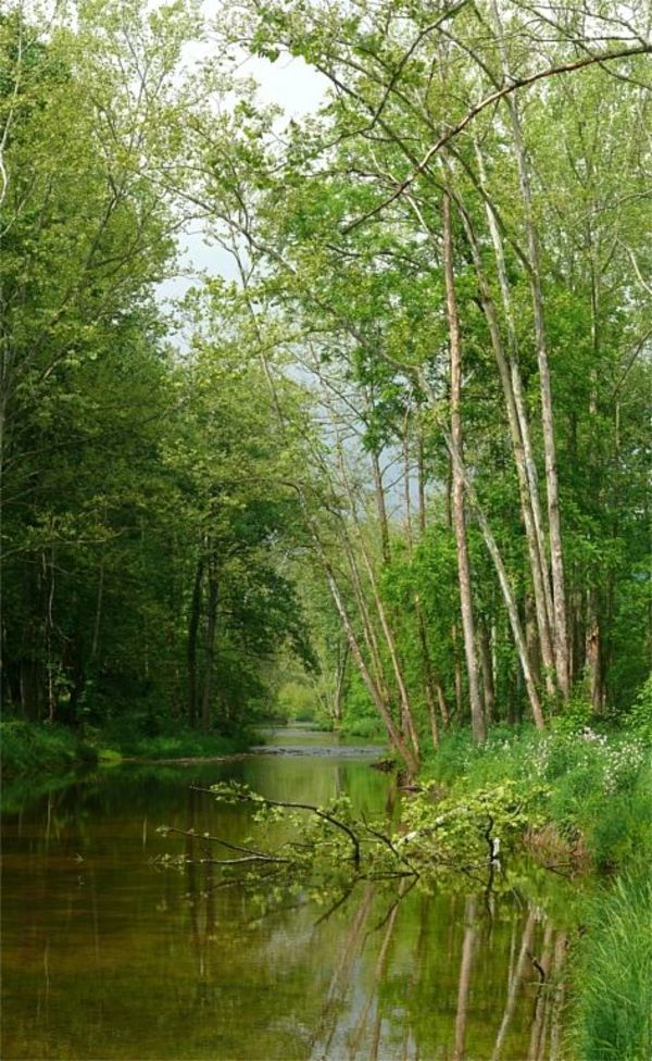 Stoney Creek, Late Spring 2/150 by Frederick Eberhart, Image 1.