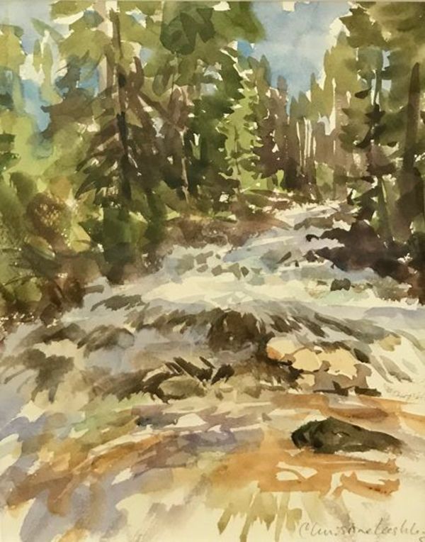 Cascade Fox Creek by Christine Lashley