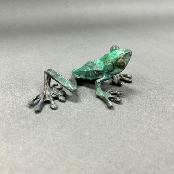 Frog B by Dan Chen, Image 1.