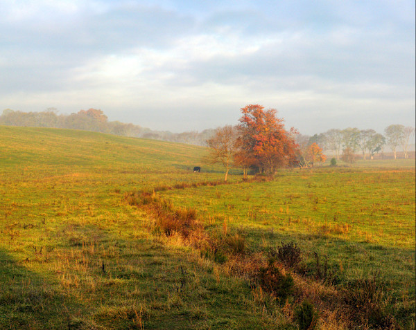 Morning on a Culpepper Field 1/200 by Frederick Eberhart, Image 1.