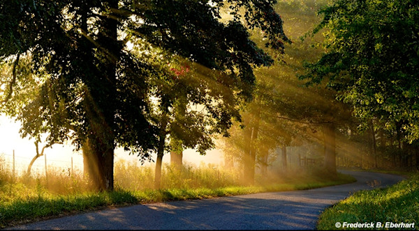 Sunplay on Lime Kiln Road 8/200 by Frederick Eberhart, Image 1.