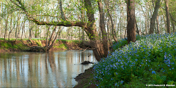 Spring on Bull Run by Frederick Eberhart, Image 1.