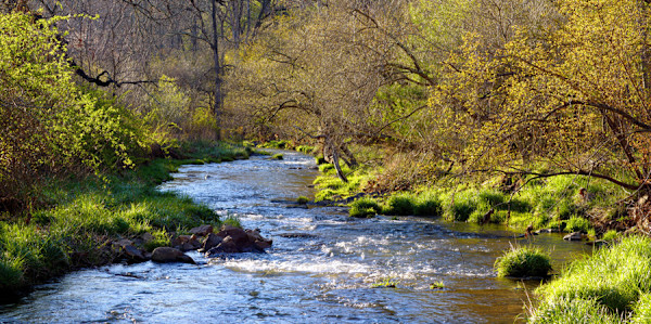 Spring Fed by Frederick Eberhart, Image 1.