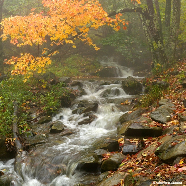 Rainwashed by Frederick Eberhart, Image 1.