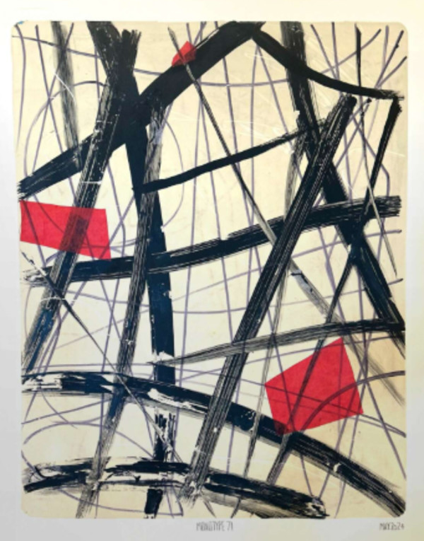 Monotype 71 by Iraima Alonso