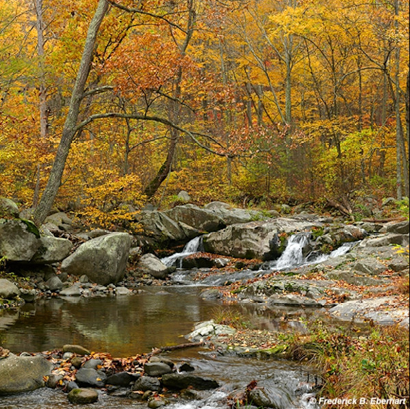 Rapidan's Autumn Song 1/150, Image 1.