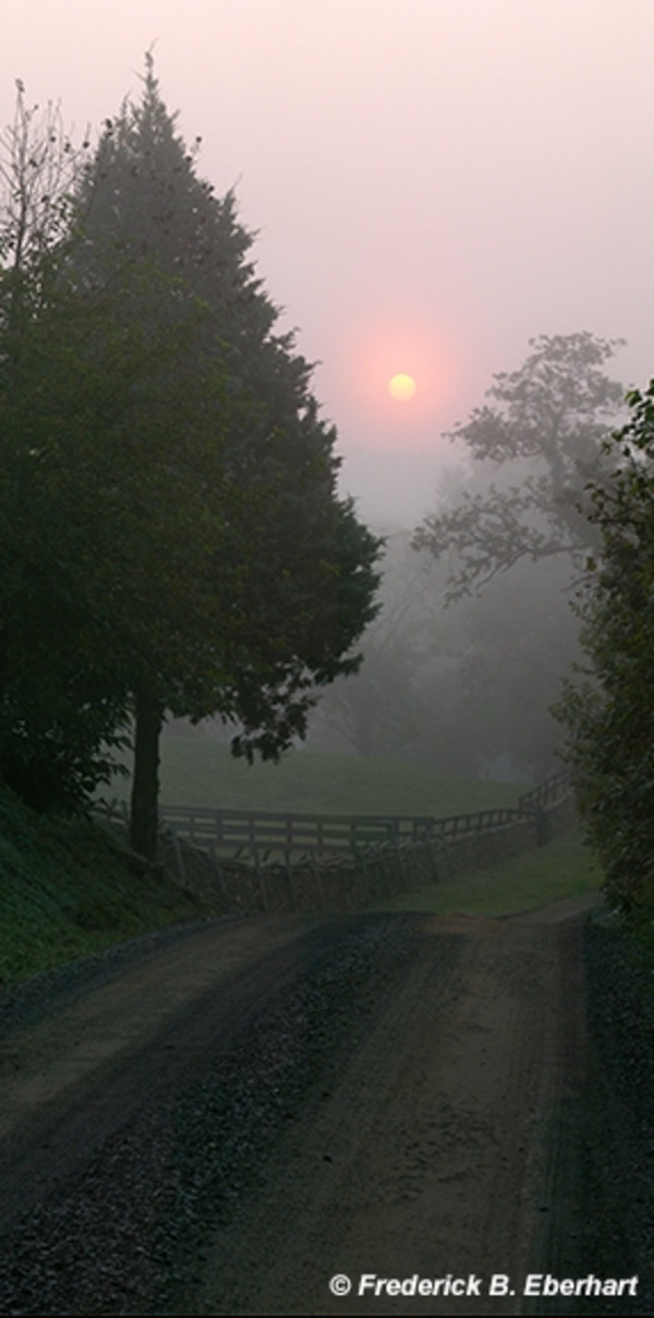 New Day, Fresh Start by Frederick Eberhart