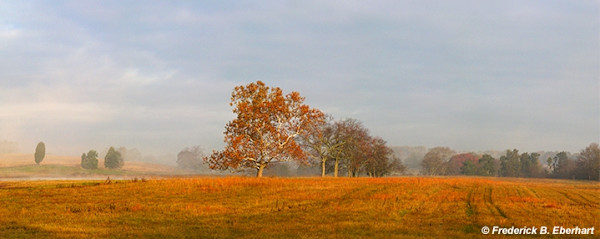 Brandy Statina Field in Autumn 1/150 by Frederick Eberhart, Image 1.