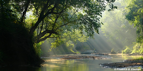 Goose Creek Morning 3/150 by Frederick Eberhart, Image 1.