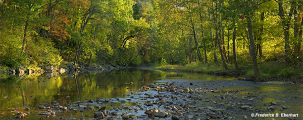 North South Branch by Frederick Eberhart