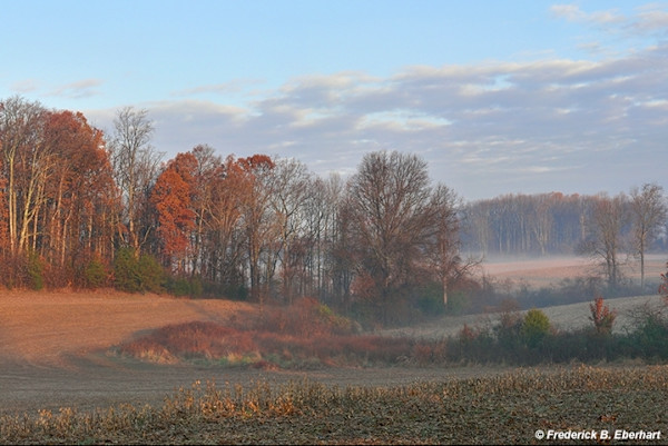 Early November Morning by Frederick Eberhart, Image 1.