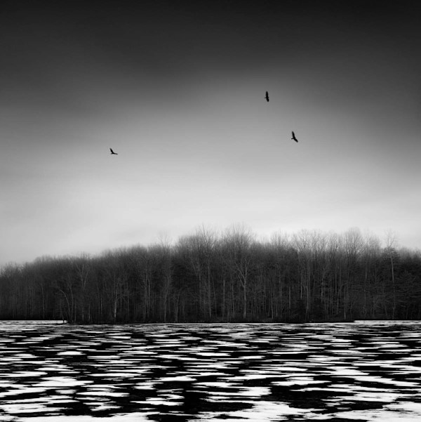 Frozen, Burke Lake, VA, 1/100 by Joseph Romeo, Image 2.