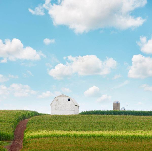 Amish Farm by Joseph Romeo, Image 2.