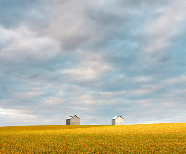 Kentucky Fields by Joseph Romeo