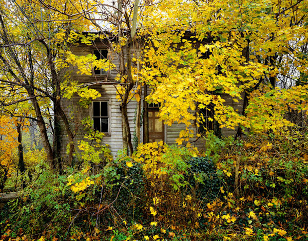 Haywood Davis House by Joseph Romeo, Image 2.