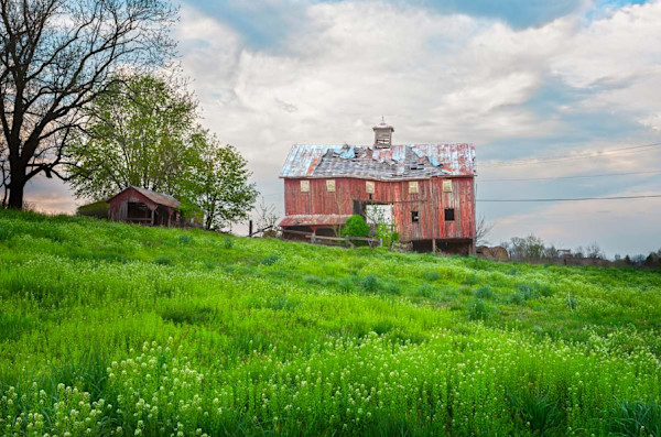 Lake Hill Barn by Joseph Romeo, Image 2.