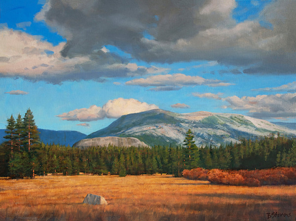 Tuolumne Meadows by Bradley Stevens, Image 1.