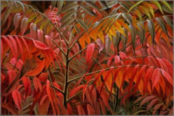 Cardinal and Sumac, Image 2.