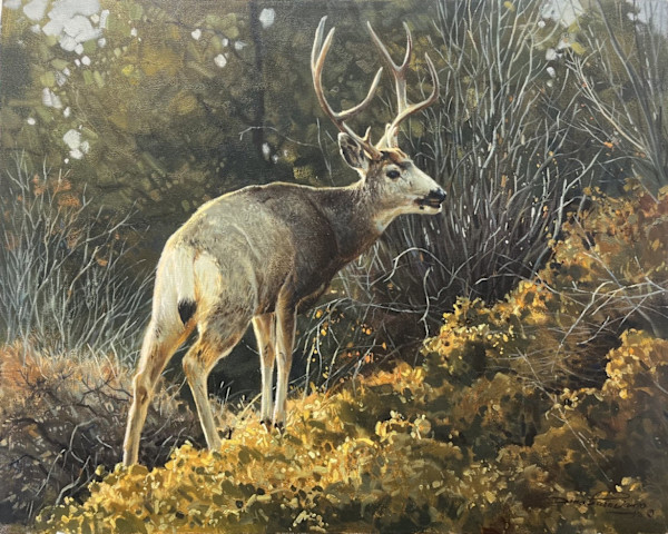 Cautious Buck by Dino Paravano