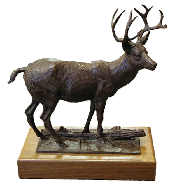 Trophy Mule Deer by Don Crouch