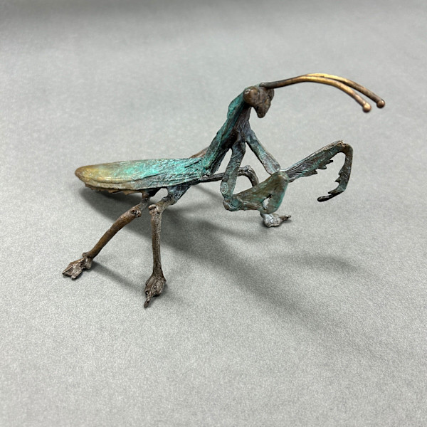 Praying Mantis by Dan Chen, Image 2.