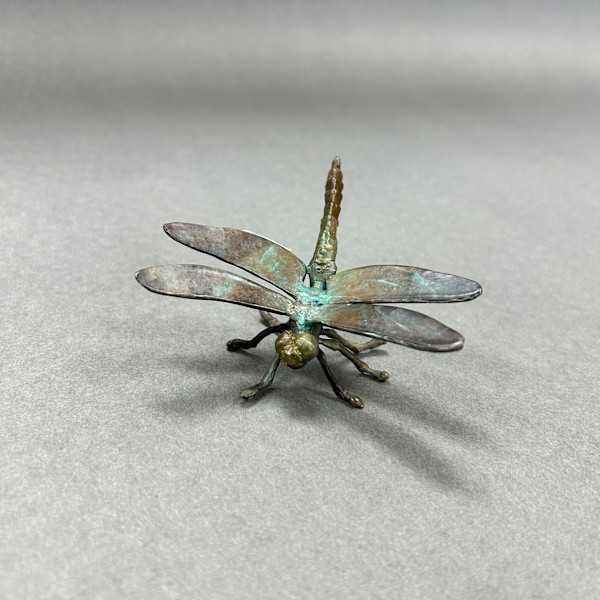 Dragonfly by Dan Chen, Image 1.