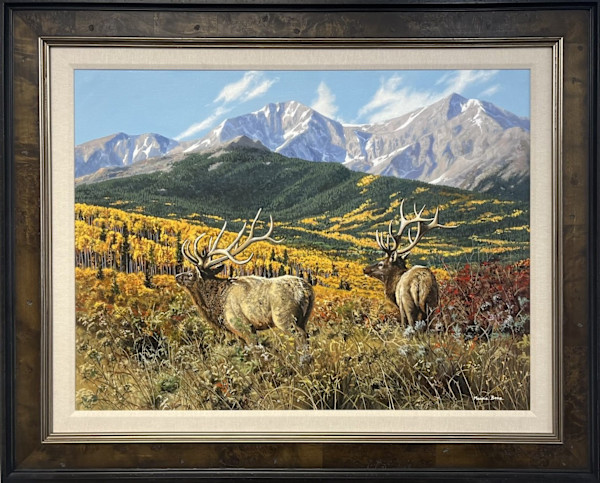 Autumn Valley by Maxine Bone, Image 1.