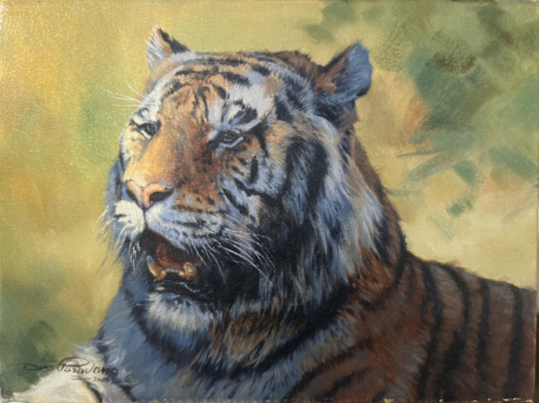 Tiger Study by Dino Paravano