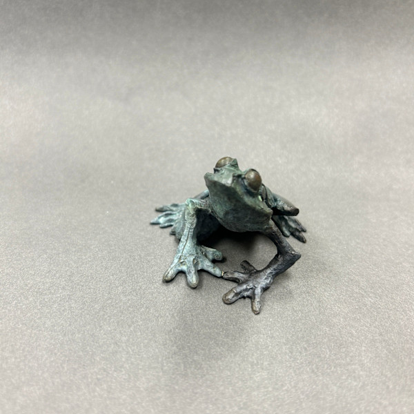 Frog A Small by Dan Chen, Image 1.