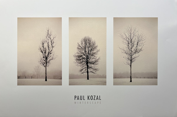 Winterscape, Image 1.
