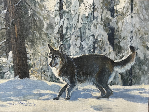 Wolf in Snow by Dino Paravano, Image 1.
