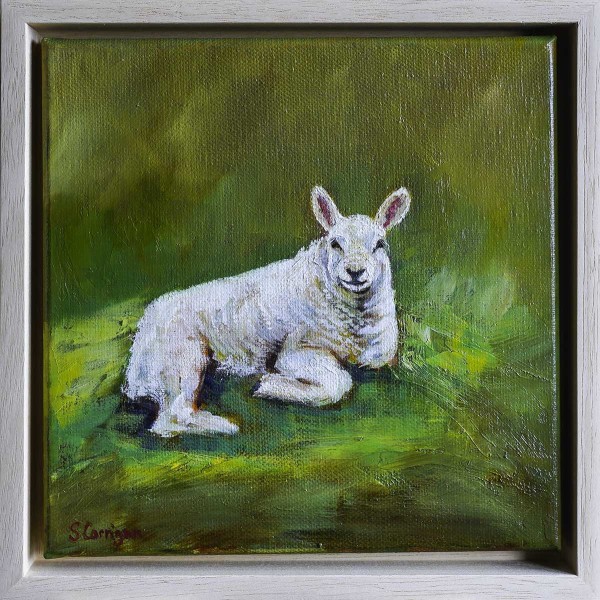 Ingram Lamb (i) by Sarah Corrigan