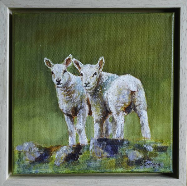 Ingram Lambs (ii) by Sarah Corrigan