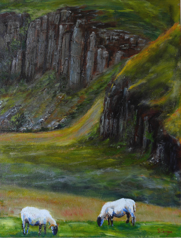 Sheep and the wall by Sarah Corrigan