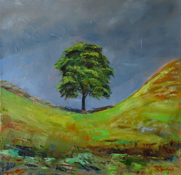 Sycamore Tree (i) by Sarah Corrigan