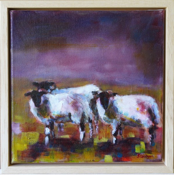 Three sheep looking by Sarah Corrigan
