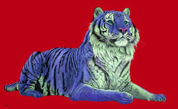 TIGER ON RED, 2008 by HELMUT KOLLER 