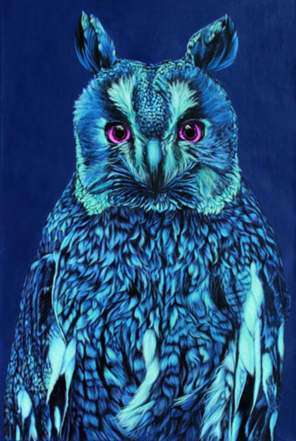 OWL ON BLUE, 2011 by HELMUT KOLLER 