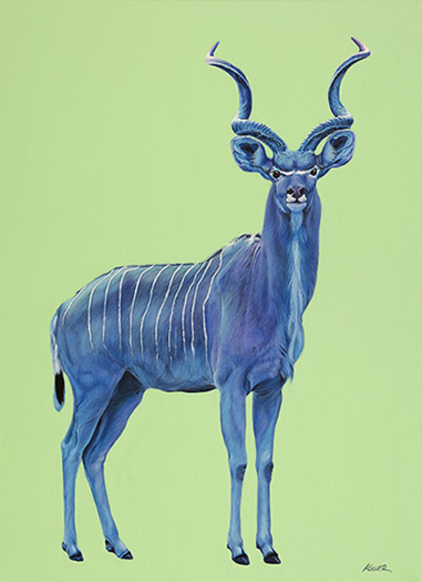 KUDU IN BLUE, 2014 by HELMUT KOLLER